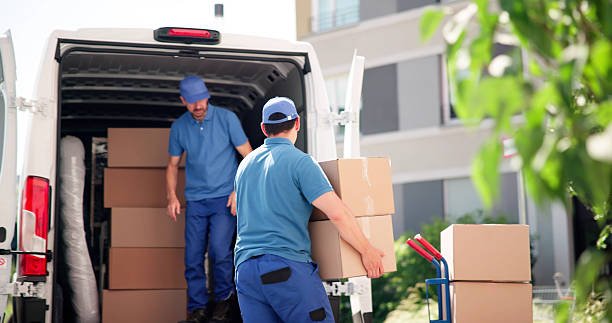 istock Hispanic Male Mover Approved 2224573374