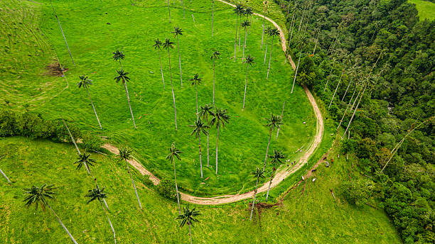 istock Aerial View of Cocora Valley 2224576472