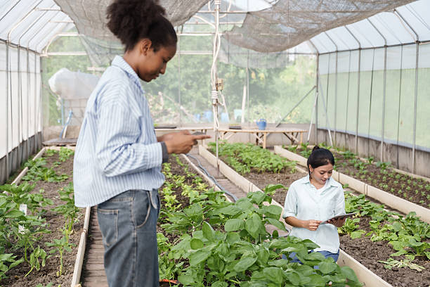 istock Multiracial teenage students exploring organic greenhouse farm using tablets to study modern agricultural techniques surrounded by green vegetables for classroom project and digital learning 2224576722