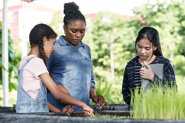 istock Diverse group of students with african teacher learning plant science through organic gardening using tablet for research while observing seedlings growing in soil bed during outdoor agriculture class 2224576839