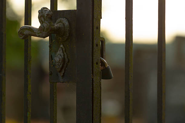 istock Closeup view of a sturdy metal gate with a lock on it 2224581155