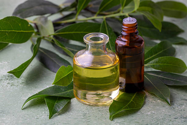 istock Fresh green daphne oil on the white background 2224591859