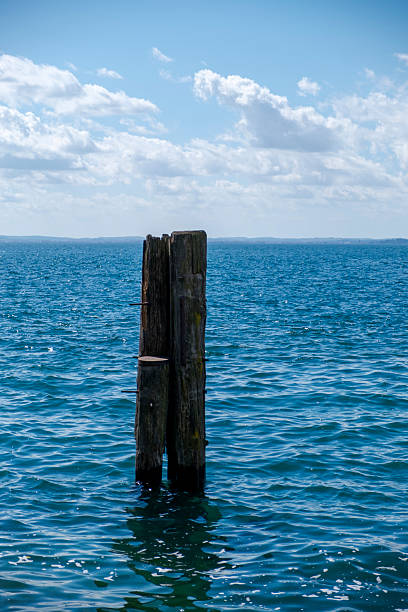 istock Post in the Lake 2224596491