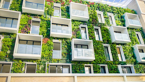 istock Vertical Garden – Sustainable Resources – Green Building 2224597908