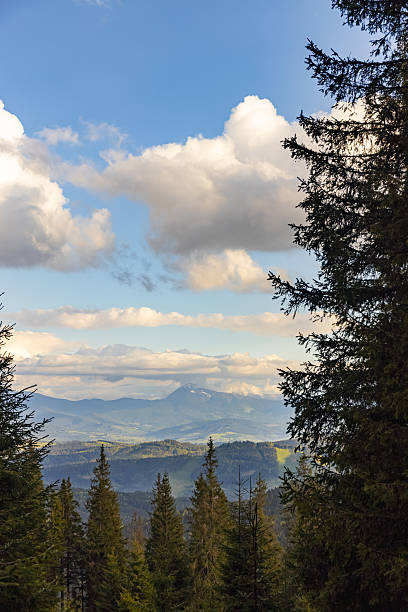 istock Beautiful landscape in the mountains, sky with clouds. 2224601654