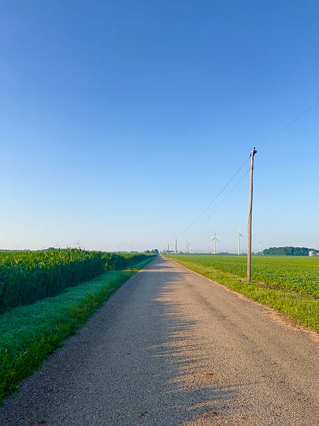 istock County road between corn and soybean field during sunrise. 2224604593