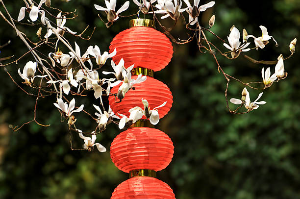 chinese lantern in the temple