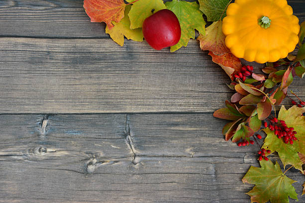 Autumnal Arrangement Leaves, Apple and Squash on Rustic Wood copy space