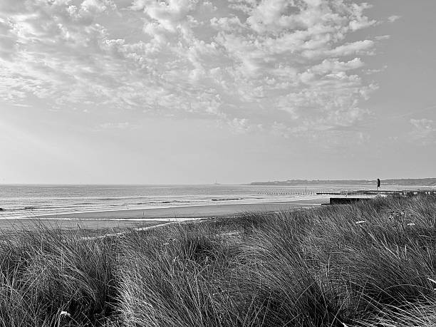 istock Marram grass on Blyth beach in Northumberland 2224616065