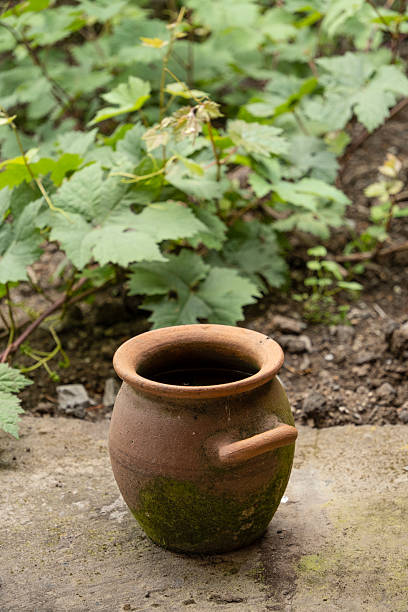 istock a clay jug stands in the garden 2224616071