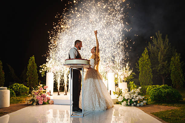 istock Bride and groom with a large round cake with berries. fireworks 2224616201