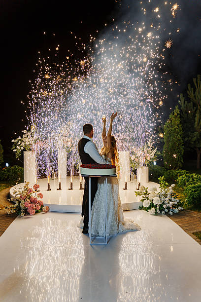 istock Bride and groom with a large round cake with berries. fireworks 2224616897
