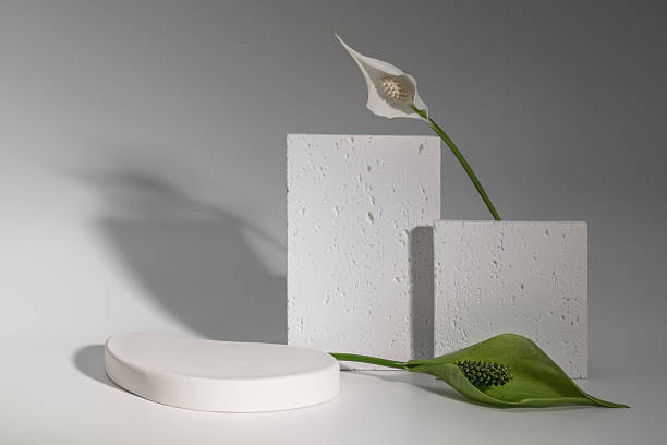 istock Minimalistic eco-friendly postcard, product presentation, platform with spathiphyllum flower and plaster molds. 2224616980