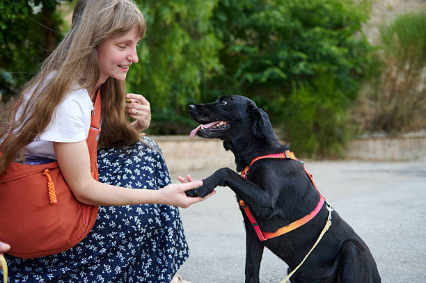 istock Woman Interacting with a Friendly Black Dog in an Outdoor Setting 2224624362