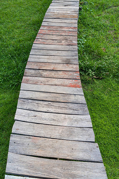 istock Wooden boardwalk through green grass 2224628980
