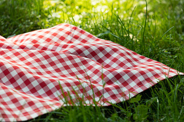 istock Red picnic cloth on grass closeup.Empty food advertisement place background.Checkered tablecloth outdoors, checked towel plaid. 2224629277