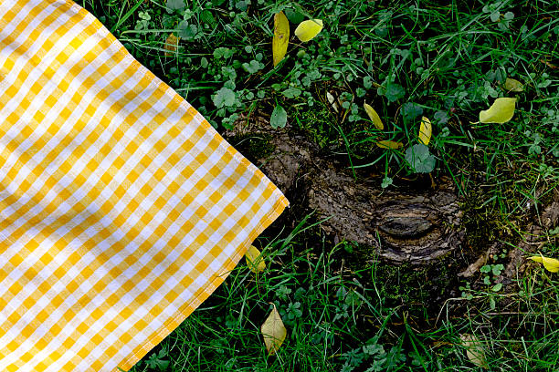 istock Yellow checkered picnic cloth, toweltop view on green grass background. Checked tablecloth empty advertisement space.Food promotion design template,blank. 2224629895