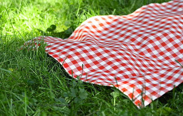 istock Red checkered picnic towel plaid on grass, tablecloth outdoors.Food advertisement template. 2224630407