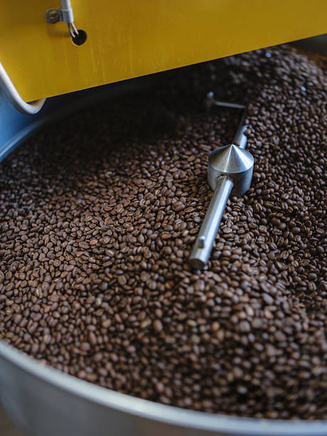 Industrial Coffee Roasting Equipment