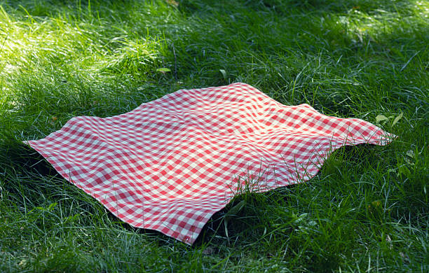 istock Red checkered picnic towel plaid on grass, tablecloth outdoors.Food advertisement template. 2224631400