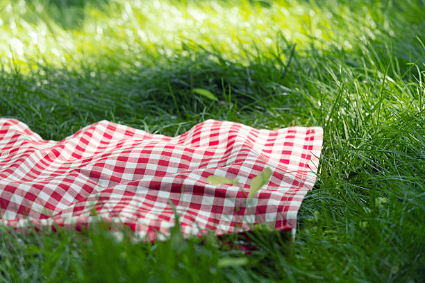 istock Red checkered picnic towel plaid on grass, tablecloth outdoors.Food advertisement summer backdrop. 2224632253