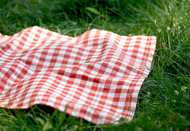 istock Red checkered tablecloth , picnic towel plaid on freass,outdoors.Food advertisement template. 2224632502
