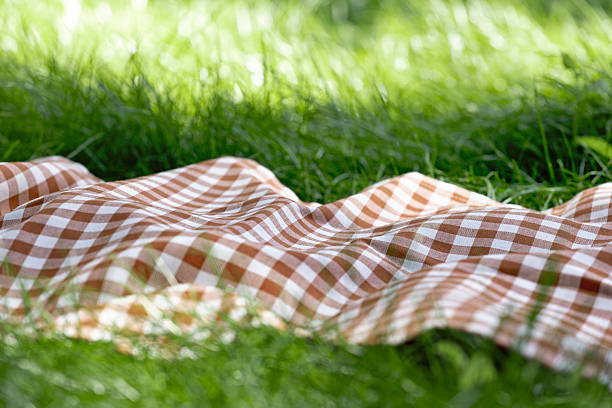 istock Orange checkered picnic towel plaid on grass, tablecloth outdoors.Food advertisement summer backdrop.Promotion template 2224632503