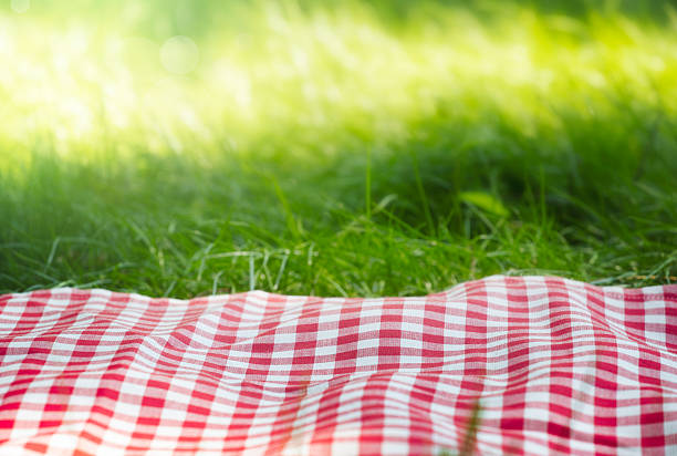 istock Red checkered picnic towel plaid on grass, tablecloth outdoors.Food advertisement summer template. 2224633586