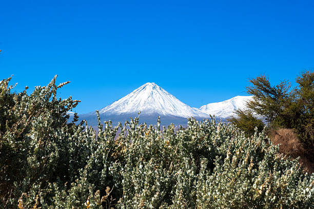 Photos from Atacama Desert Chile South America