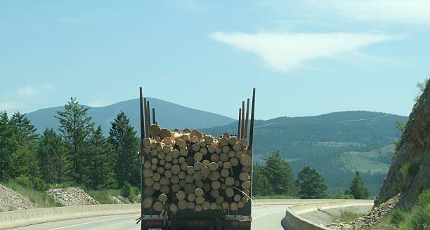 istock Logging truck hauling a load of cut logs 2224644889