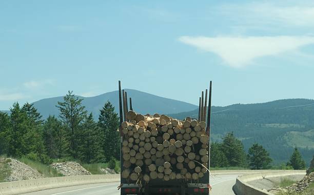 istock Logging truck hauling a load of cut logs 2224644896