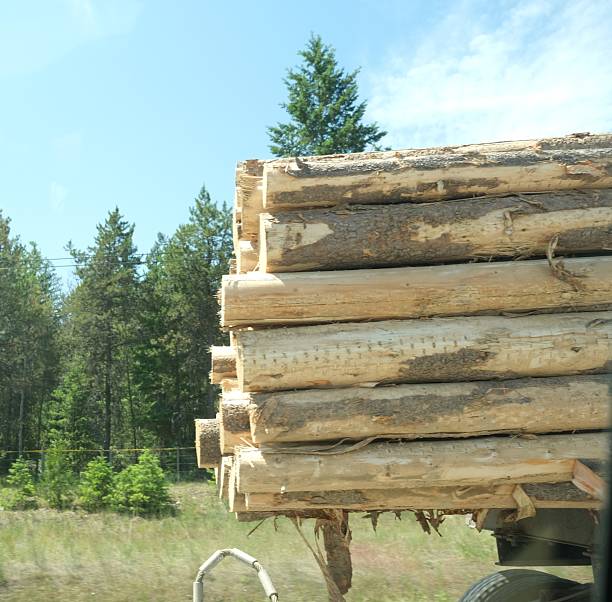 istock Logging truck hauling a load of cut logs 2224644909