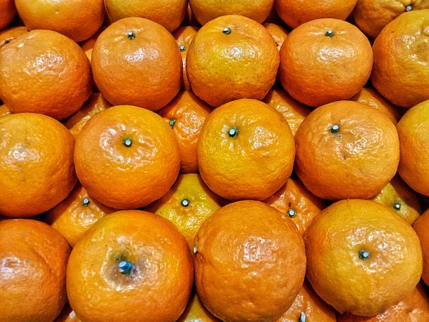a collection of yellow oranges neatly arranged