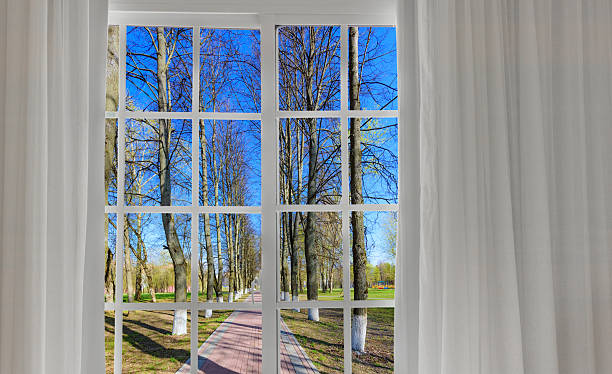 istock Window with a view of a park 2224645836