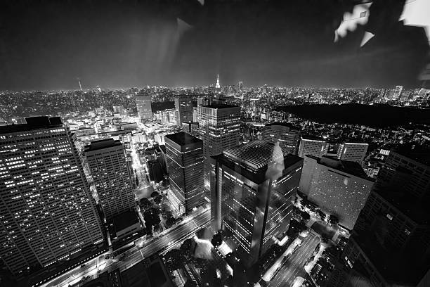 Tokyo illuminated skyline stretching into the night from a high Shinjuku tower.