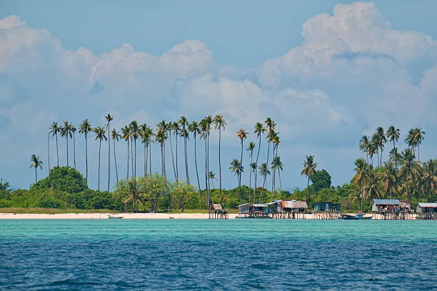 istock Under the palm trees of the reef island 2224653449