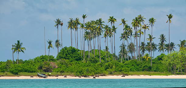 istock Under the palm trees of the reef island 2224653450