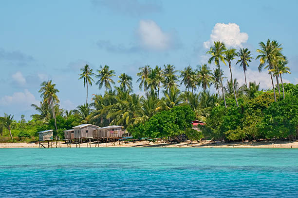 istock Under the palm trees of the reef island 2224653457