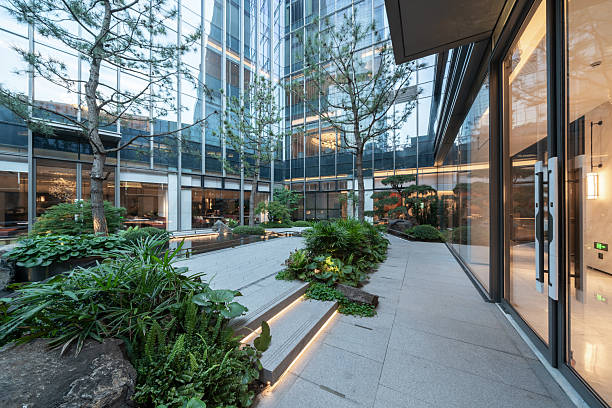 istock footpath through garden in yard of modern building 2224655725