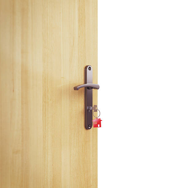 Close-up on a metal ring pull on a green wooden gate