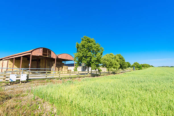 Large barn storing hay bales on a sunny day in the countryside