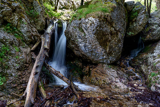 Long exposure of a small waterfall and stream in a rocky forest gorge in Mala Fatra, Slovakia.
