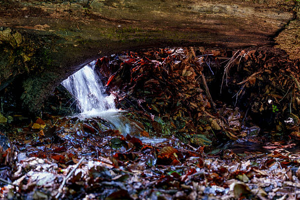 Long exposure of a small waterfall and stream in a rocky forest gorge in Mala Fatra, Slovakia.