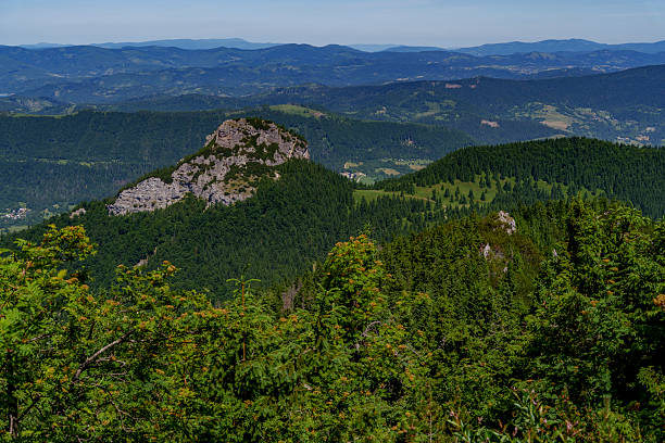 istock Mountain clearing with conifer forest and blue sky in Mala Fatra, Slovakia 2224666293