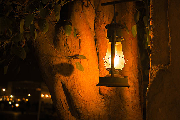 istock Lantern lights up tree trunk at evening outdoor gathering 2224668960