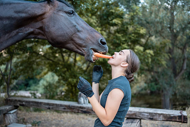 A young woman shares a carrot with a horse in a serene outdoor setting, showcasing a bonding moment between human and animal in a picturesque rural landscape.