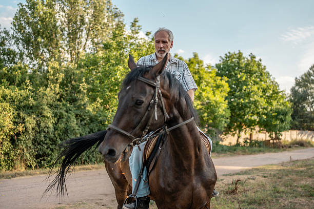istock Man Riding a Brown Horse Outdoors on a Sunny Day in Nature 2224673062