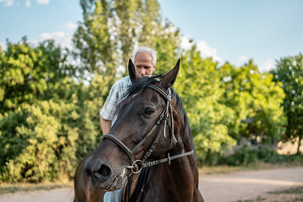 istock Man Riding a Horse in a Scenic Outdoor Environment 2224673076