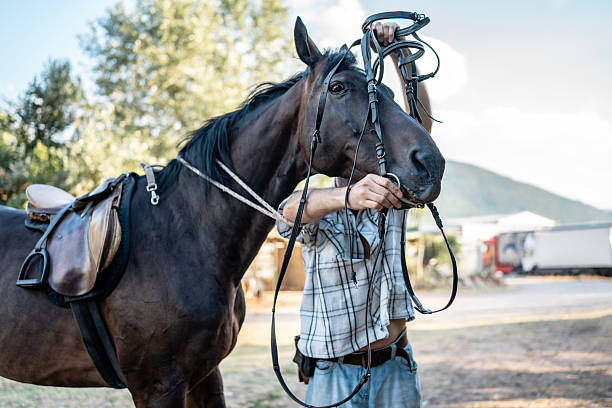 A person prepares a horse with saddle and bridle in an outdoor rural environment, ready for riding or equestrian activities under a sunny sky, emphasizing the connection between humans and animals.