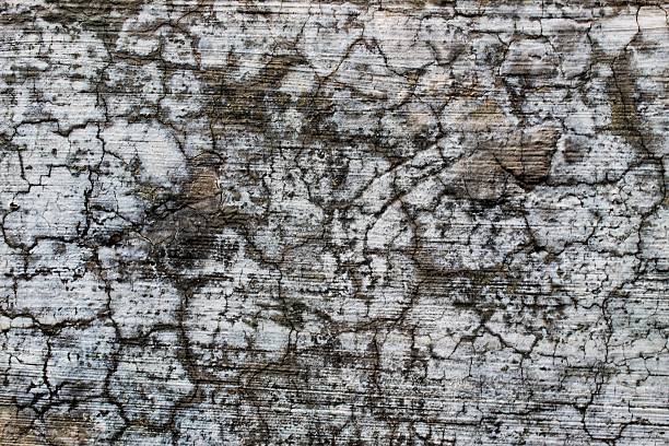 black background, Detailed surface featuring cracked paint layers revealing the concrete underneath, perfect for texture and background.